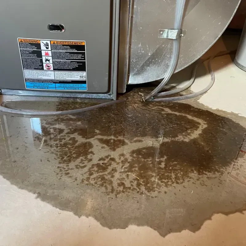 Appliance Leak Cleanup in Frankfort Square, IL